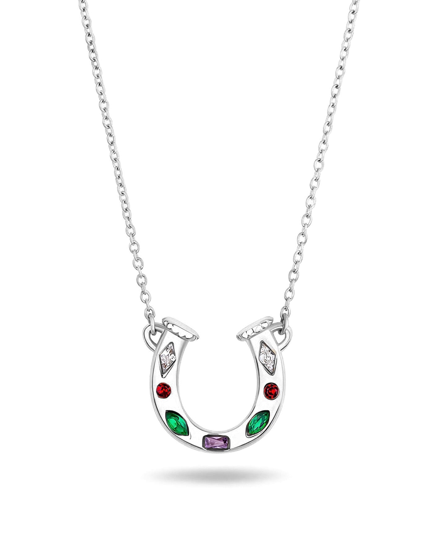 Lady Luck Horseshoe necklace silver